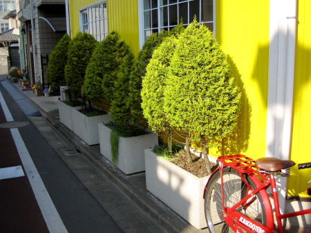 K.B.SCOOTERS脇の黄色い壁沿いに並ぶ植木と赤い自転車。