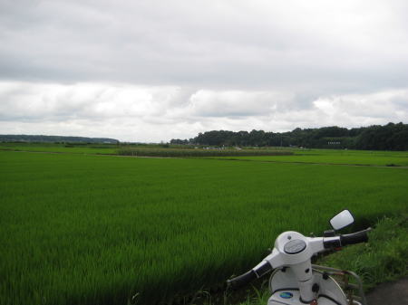 修理後のPXで試運転に出かけた道中、曇り空の田園風景。