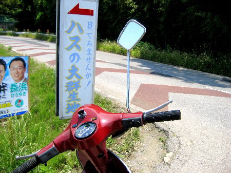 蓮群生地の看板前で停車したP125Xのハンドルまわり