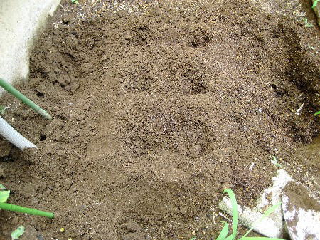 綿の種を植えるために用意されたK.B.農園の土