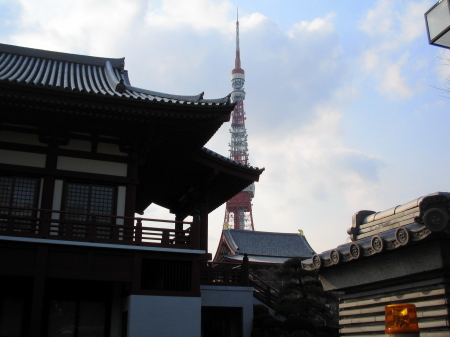 増上寺の建物越しに東京タワーが見える風景。江戸の雰囲気と現代の象徴が交差する。
