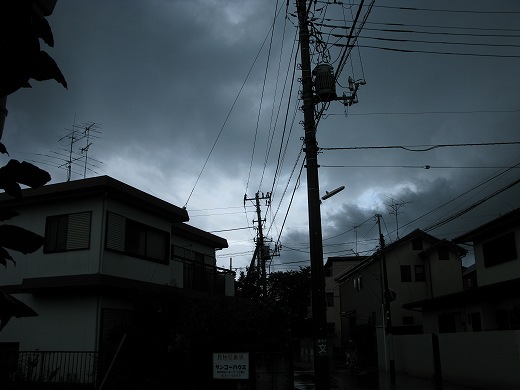 曇り空の下、住宅街に立つ電柱と家々の静かな風景