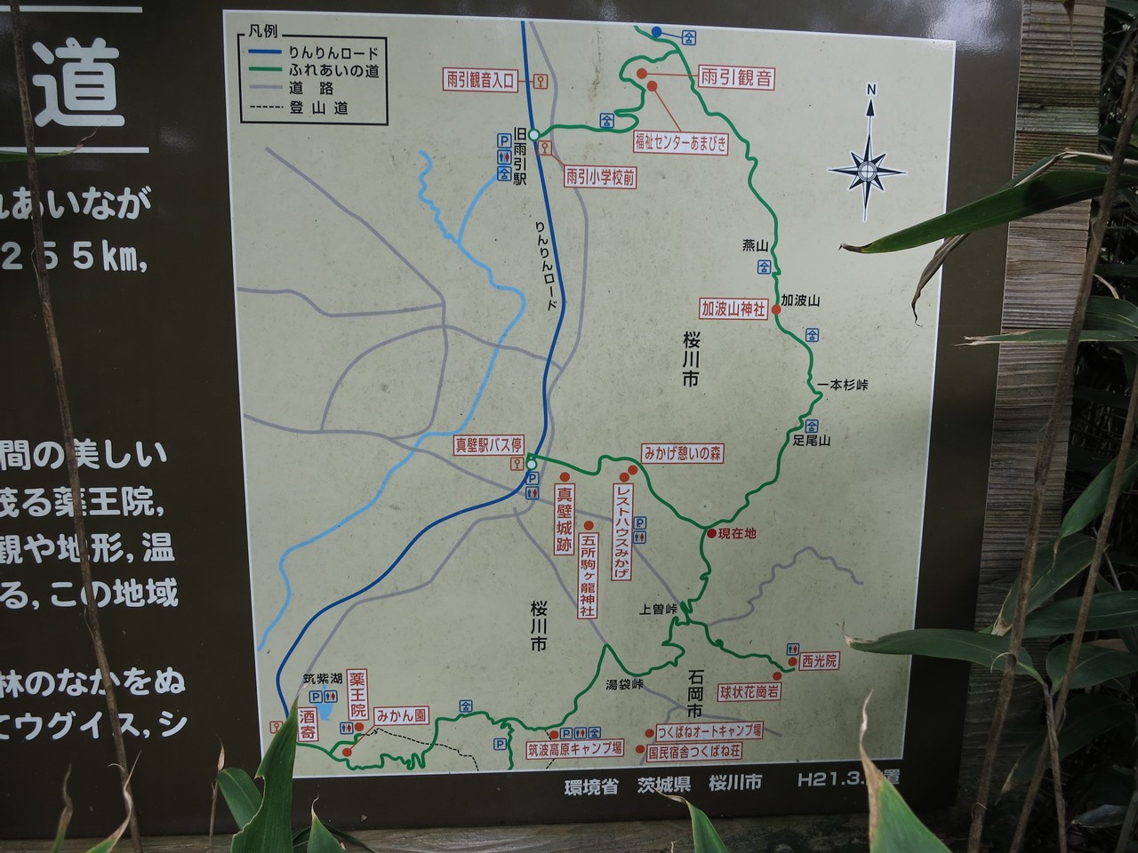 山間の舗装路に停められたベスパと深い杉林