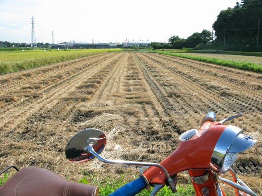 収穫後の田んぼとベスパのハンドル