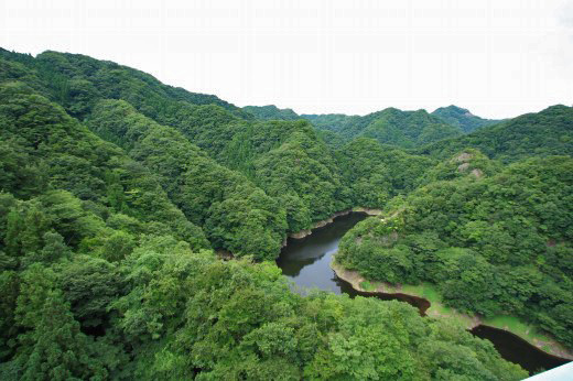亀川山ダム上空から眺めた深緑の山々と蛇行する川の風景