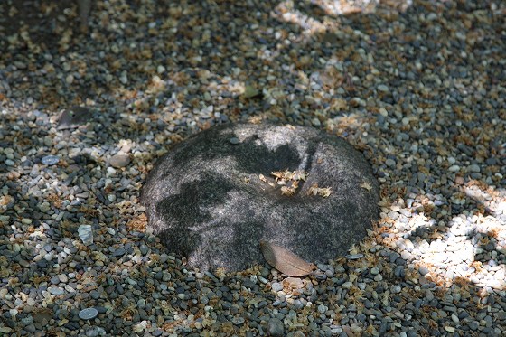 鹿島神宮の要石。ナマズを押さえつけていると伝わる神聖な石