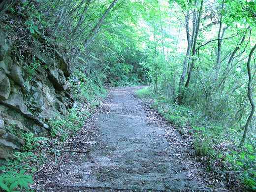 月居山で化石探し中の登山道の風景