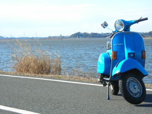 手賀沼沿いの道路でP125Xを撮影した試運転時の風景写真
