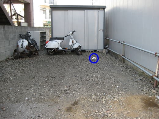 ＫＢ駐車場奥の物置前、地面中央に不可解なものがある光景