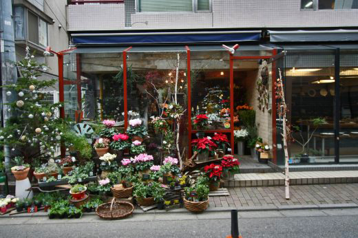 柏の花屋「moora moora」の店舗外観。色とりどりの鉢植えが並ぶ。