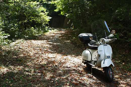 林道脇に停車している白いベスパと落ち葉の山道