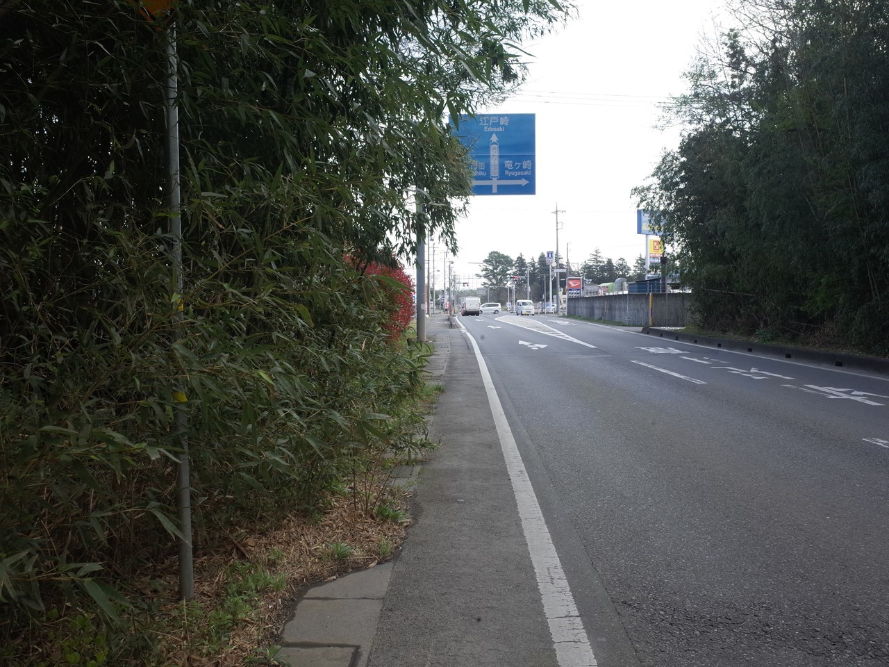 広域農道カントリーラインを背景に停めた白いベスパ