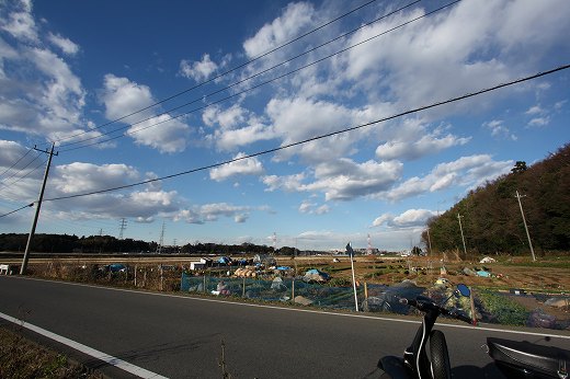 超広角レンズで撮影した開放感ある青空と畑の風景
