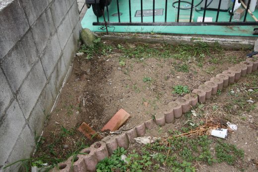 向日葵を抜いた後のKB農園の状態