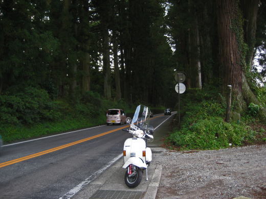 日光杉並木の中を走る道路とベスパの早朝風景