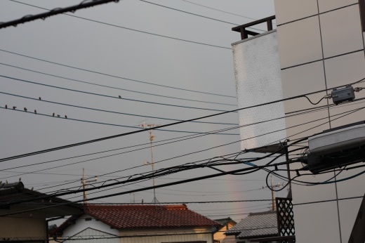 住宅街の電線越しにうっすらと見えた虹