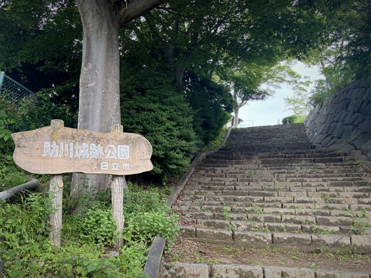 助川城跡公園の木製案内板と、上へ続く石段の風景。
