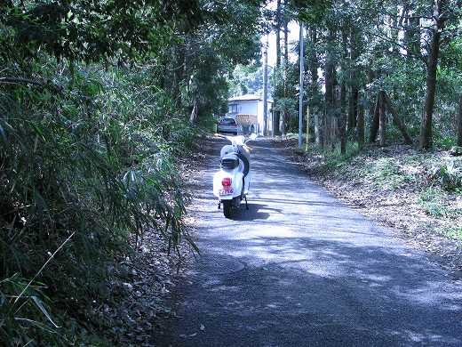 ベスパ50sの試運転コースである森の中の急坂道の様子