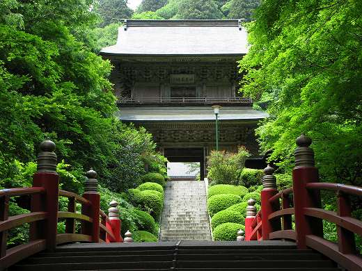 雲厳寺の本堂へ続く赤い橋と参道の風景