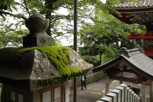 苔が浮かぶ小川と石組みの静かな庭