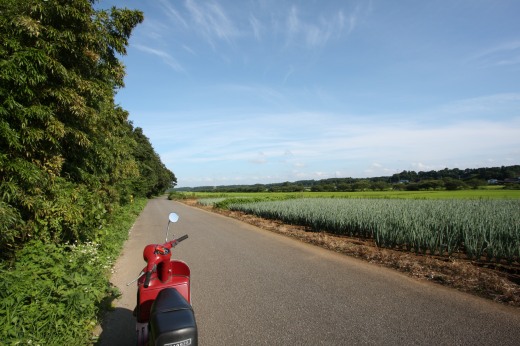 果てしなく続く稲田の中を試運転中のP125X