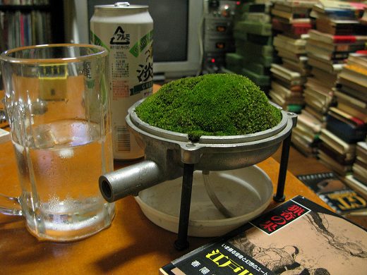 🌿 苔鉢と焼酎グラス、本を並べた晩酌デスクの様子