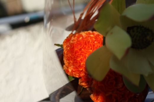 脳のような形をしたオレンジ色の花のクローズアップ