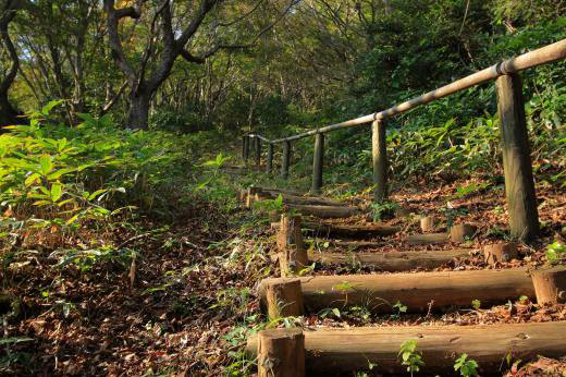 一本杉峠と加波山への分岐を示す山中の案内標識。