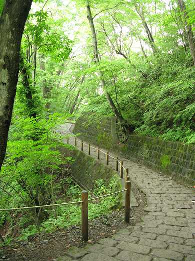 🌳 緑の中に続く石畳の小道