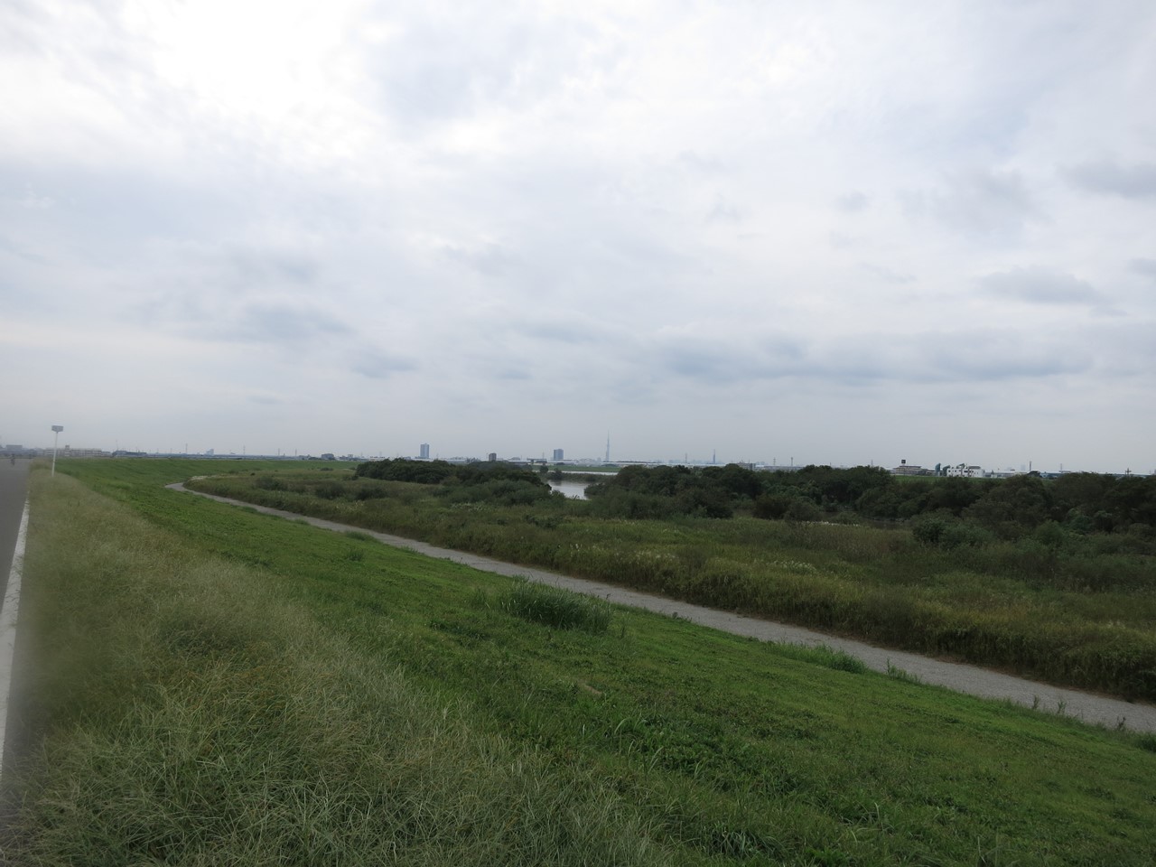 江戸川の土手を眺める風景