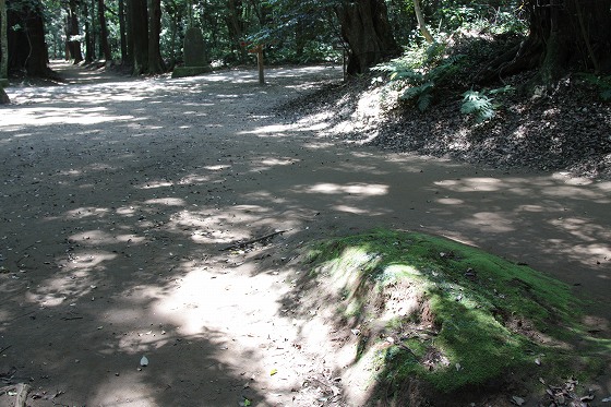 香取神宮の参道。木漏れ日が差し込む静かな境内の道