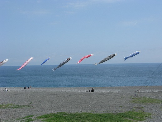 海沿いに並んで泳ぐ鯉のぼりの風景