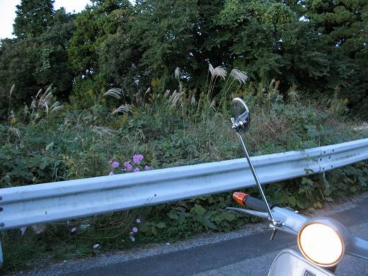 山道の途中で迷子になった時のベスパと風景