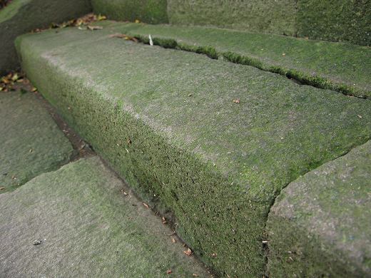 笠置神社の苔むした石段