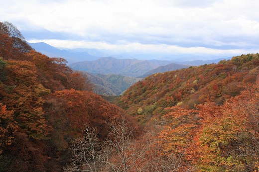 赤やオレンジに染まった紅葉の木々と白いベスパ