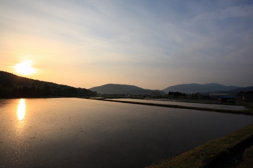 夕日に染まる田園風景と水を張った田んぼ