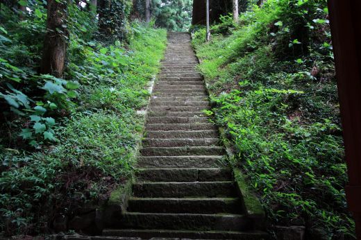 緑に包まれた山道に続く苔むした石段。武生神社への参道