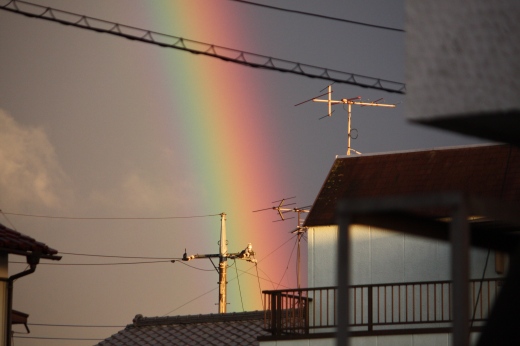 住宅街の屋根越しに見えた濃い虹のアップ