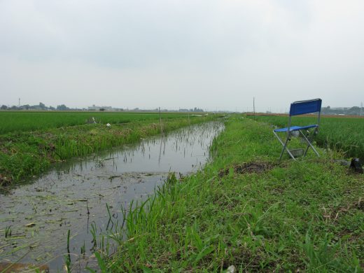 青い椅子と用水路、釣り風景の田園地帯