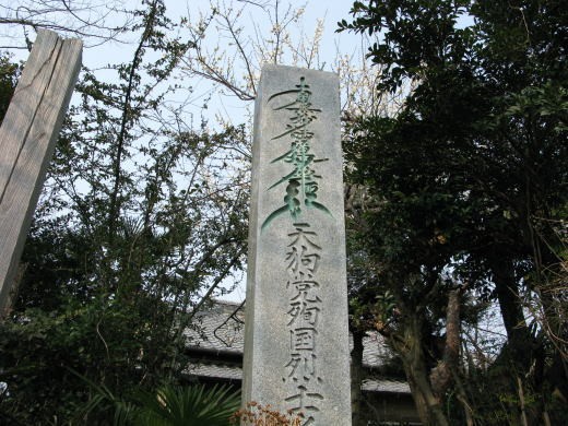 満開の梅と筑波山を望む絶景ポイント。