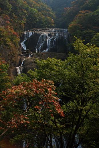紅葉に囲まれた袋田の滝の雄大な景観