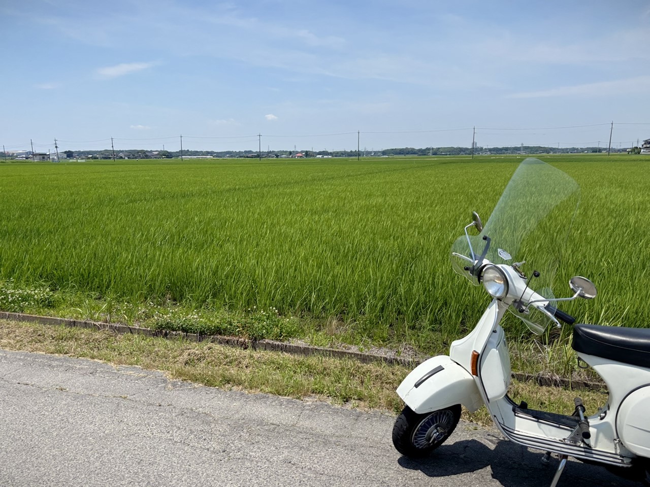 赤い花の横で佇むシルバーのベスパと夏空
