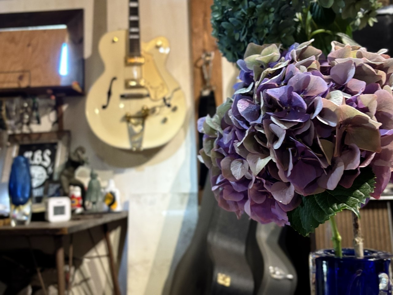 店内に飾られた紫陽花の花と、壁に掛けられたギター。moora mooraでの一枚。