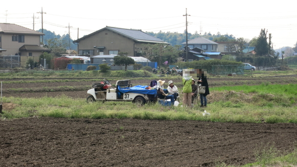 桜並木が続く田舎道を、白いベスパが佇んでいる風景。
