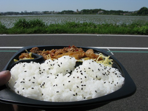 手賀沼の景色を眺めながら食べるコンビニ弁当