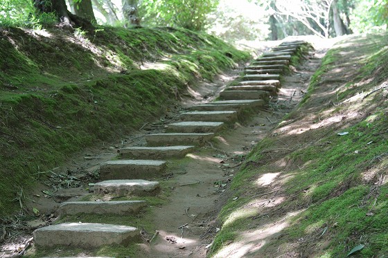苔むした香取神宮の石段。木陰の中を静かに上っていく参道