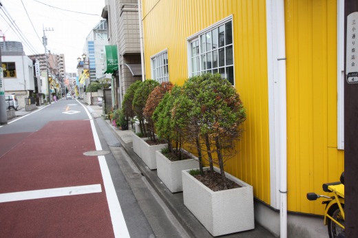 店舗外の植え込み全体の様子