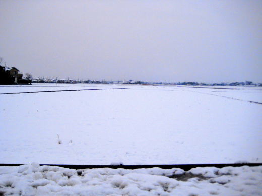 一面に雪が積もった田園風景の写真