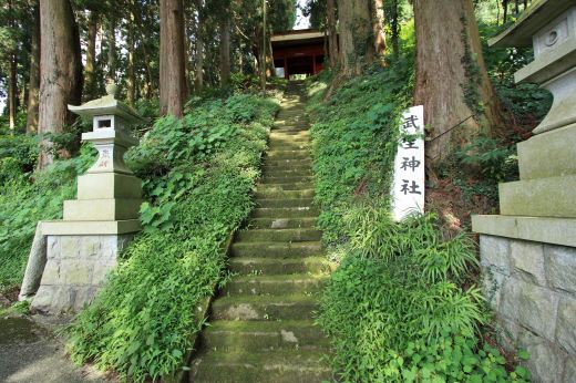 武生神社の石段と杉木立に囲まれた荘厳な参道