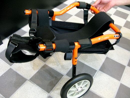 犬用のオレンジ色の車椅子